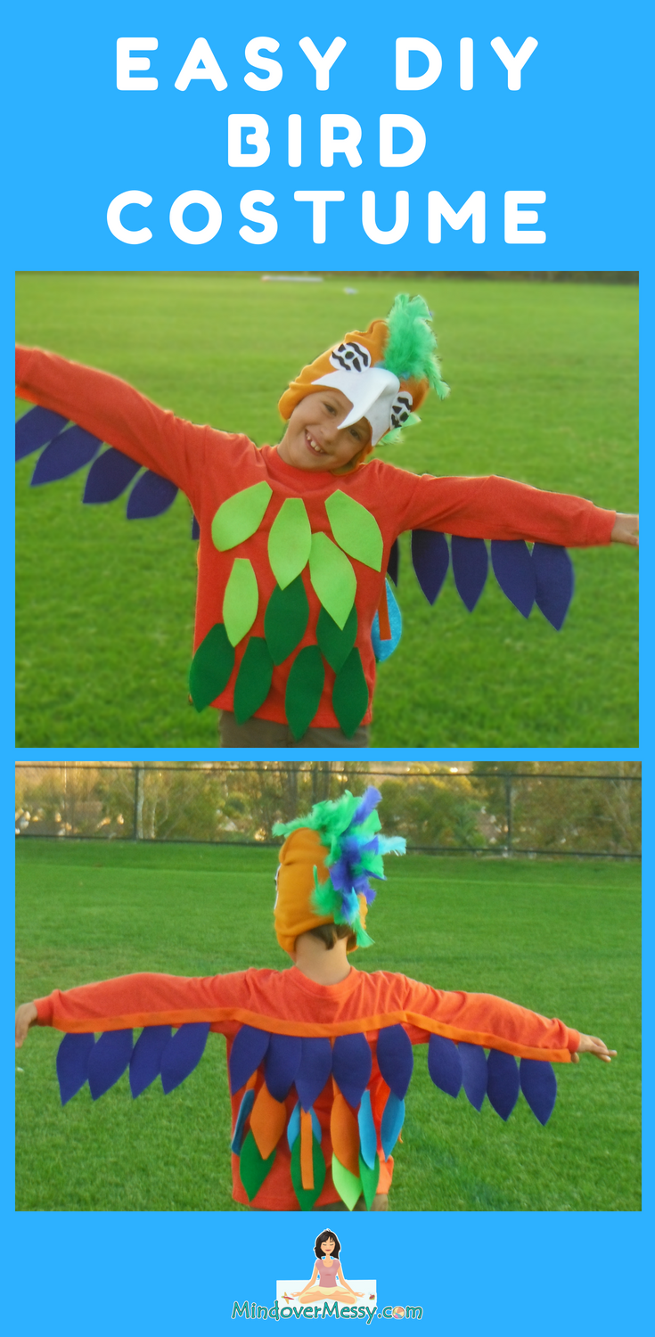 Super Easy DIY Bird Costume | Mind Over Messy