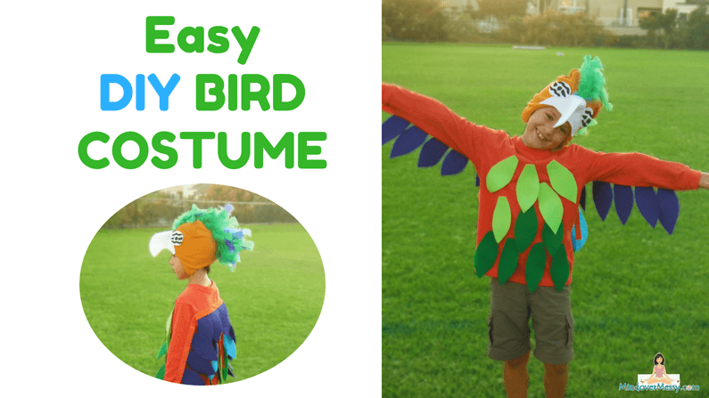 Super Easy DIY Bird Costume, Mind Over Messy