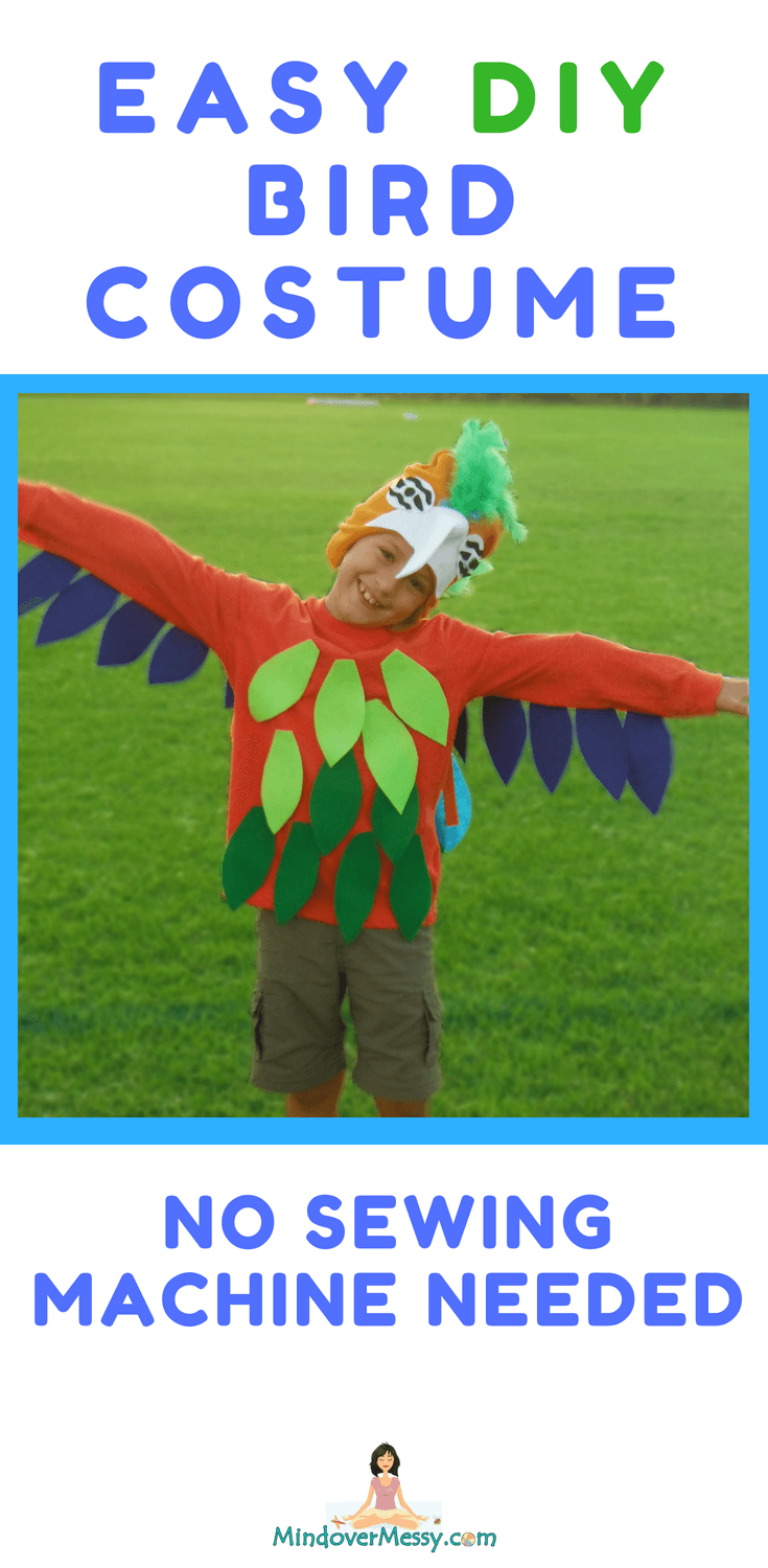 Super Easy DIY Bird Costume | Mind Over Messy